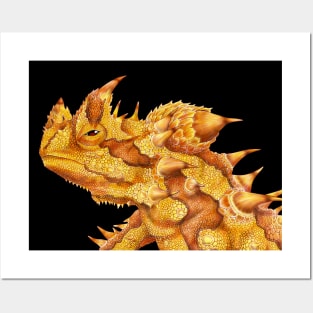 Thorny Devil Posters and Art